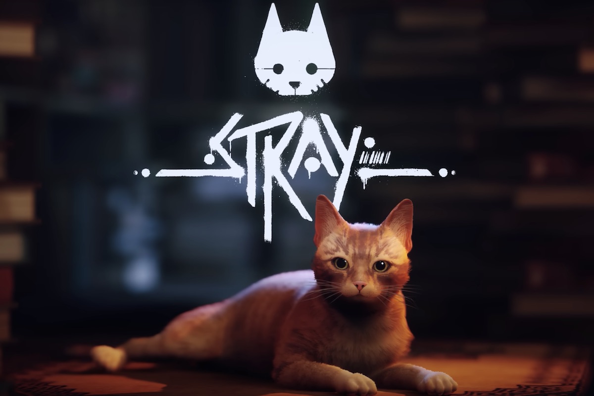 『Stray』がチャリティで保護猫を救済