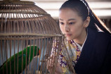 北川景子、『どうする家康』出演を語る　の画像