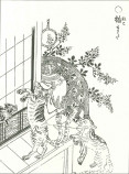  『愛法と呪法の博物誌』刊行の画像