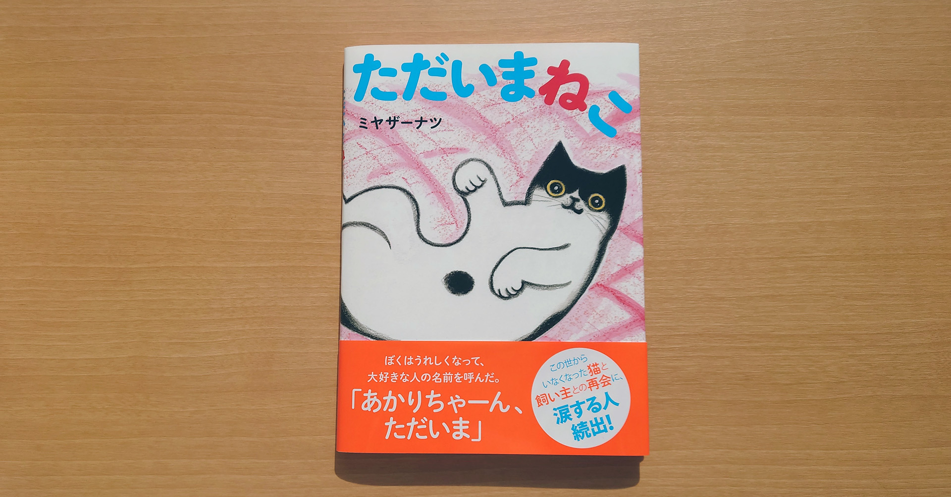 感動の絵本『ただいまねこ』に注目の画像