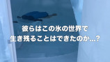 はじめしゃちょー、氷で作られたホテルに訪問の画像