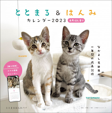 話題の兄妹猫「ととまるはんみ」カレンダー発売