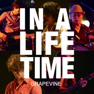 GRAPEVINE『Lifetime Live at SHIBUYA AX 2014.05.19』ジャケット