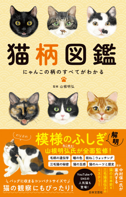 猫の模様のふしぎを解明した書籍が面白い