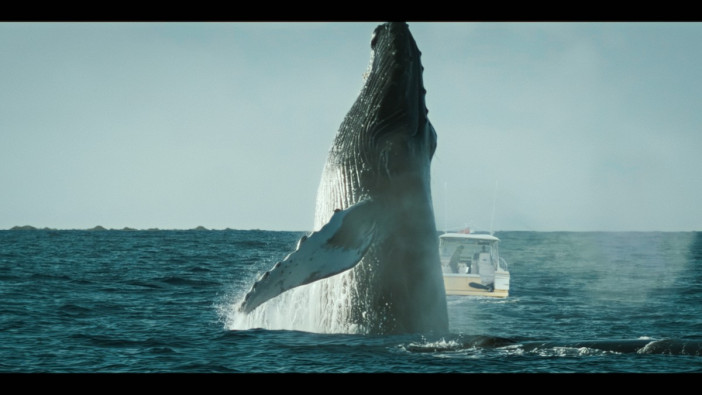 『THE SWARM／ザ・スウォーム』は“海の恐怖”詰め合わせ？　サメよりも凄いクジラの恐怖