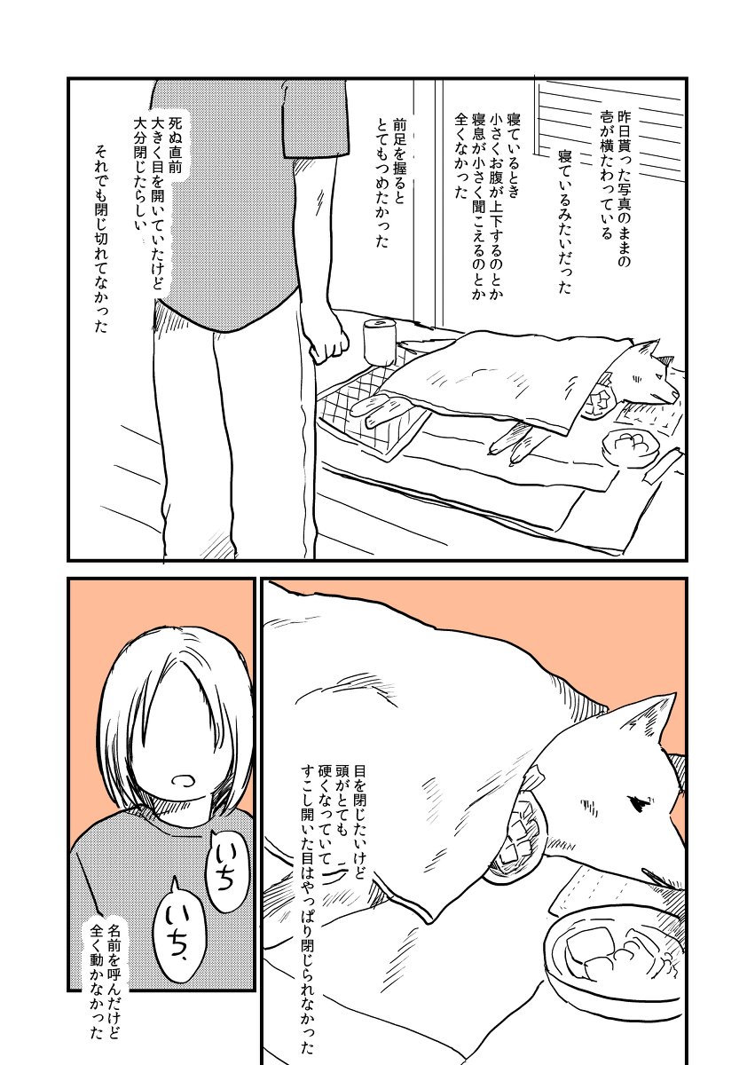 【漫画】実家の犬が死んだ日の画像