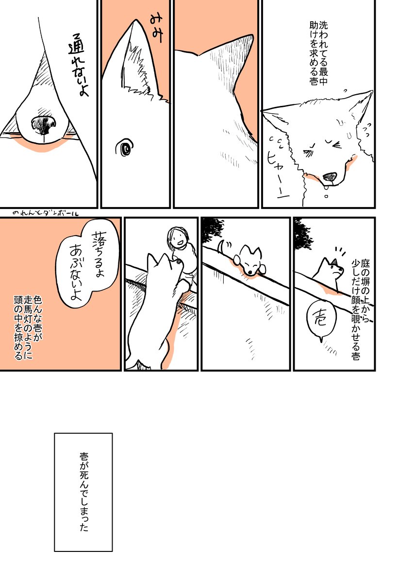 【漫画】実家の犬が死んだ日の画像