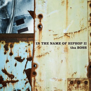 『IN THE NAME OF HIPHOP II』ジャケットの画像