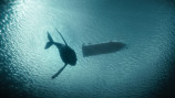 『THE SWARM』現実と重なる海洋異変の画像