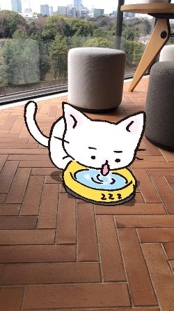 『猫ピッチャー』10周年記念イベント開催の画像