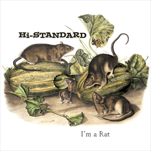 Hi-STANDARD『I’M A RAT』7inch
