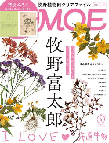 「らんまん」牧野富太郎を特集した「MOE」最新号、植物図クリアファイルの特別付録付き　