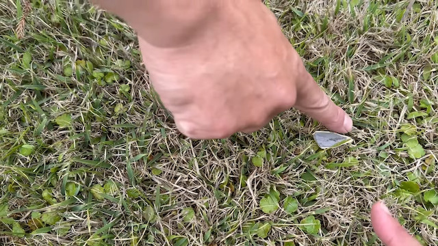 ユージ、「所ジョージのバイク」を試乗の画像