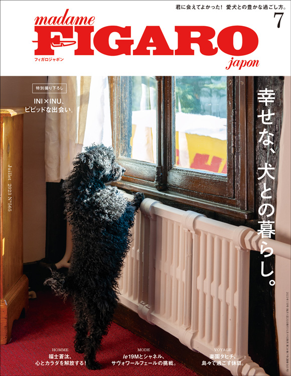 犬特集のフィガロ