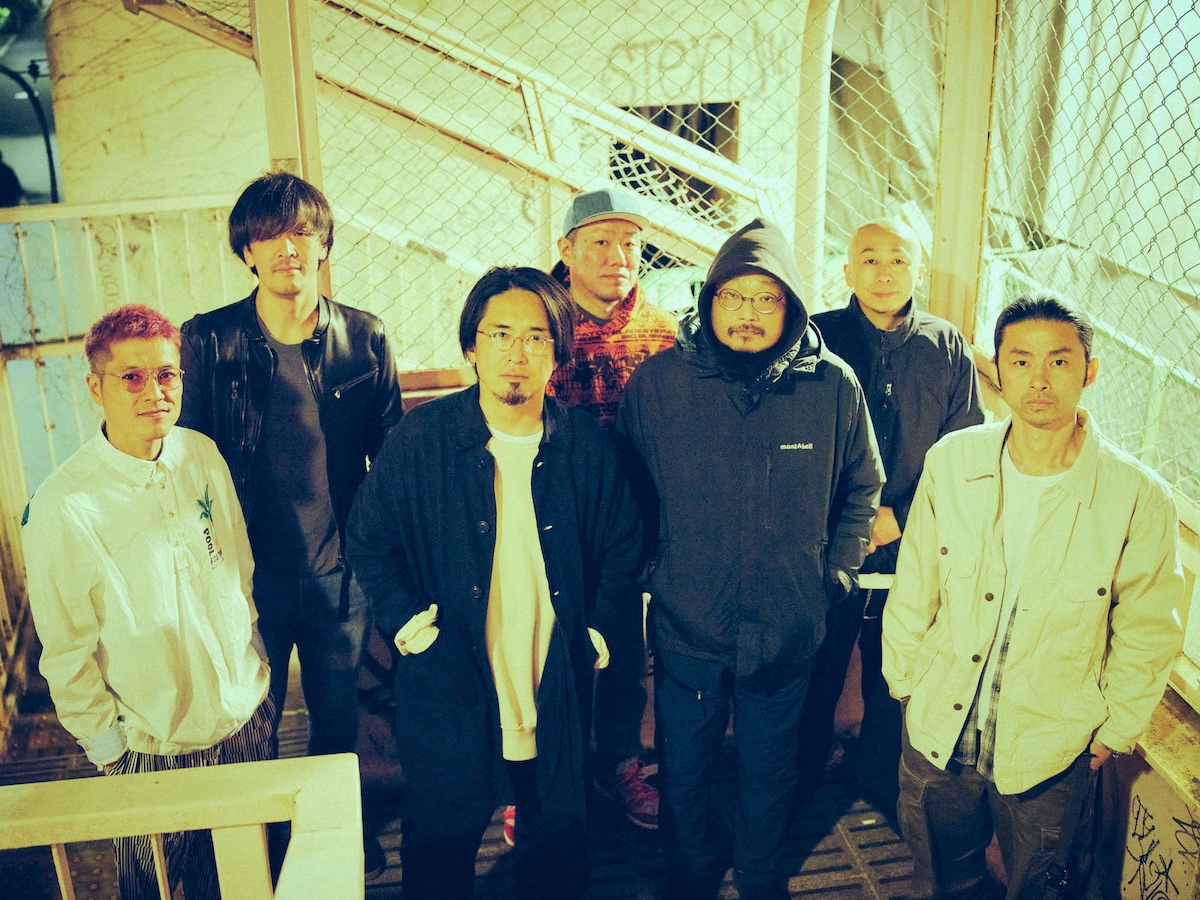 DOPING PANDA × the band apart