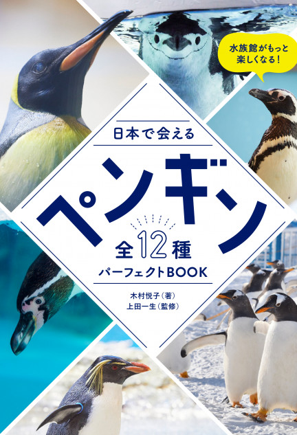 癒しと自由研究にぴったり“ペンギンパーフェクトガイド”