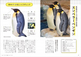 癒しと自由研究にぴったり“ペンギンパーフェクトガイド”の画像