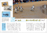 癒しと自由研究にぴったり“ペンギンパーフェクトガイド”の画像