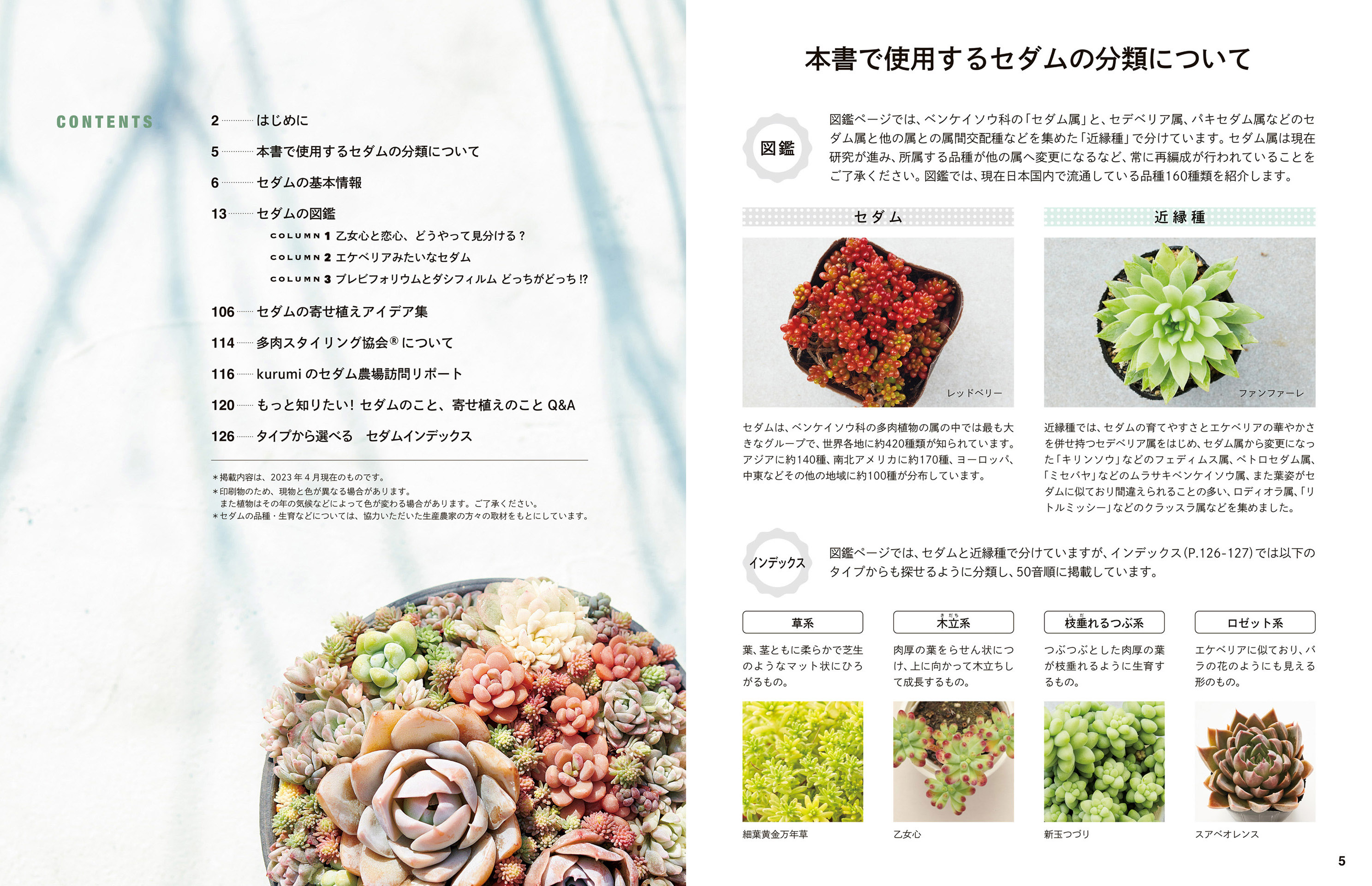 多肉植物「セダム」160種を収録した図鑑の画像