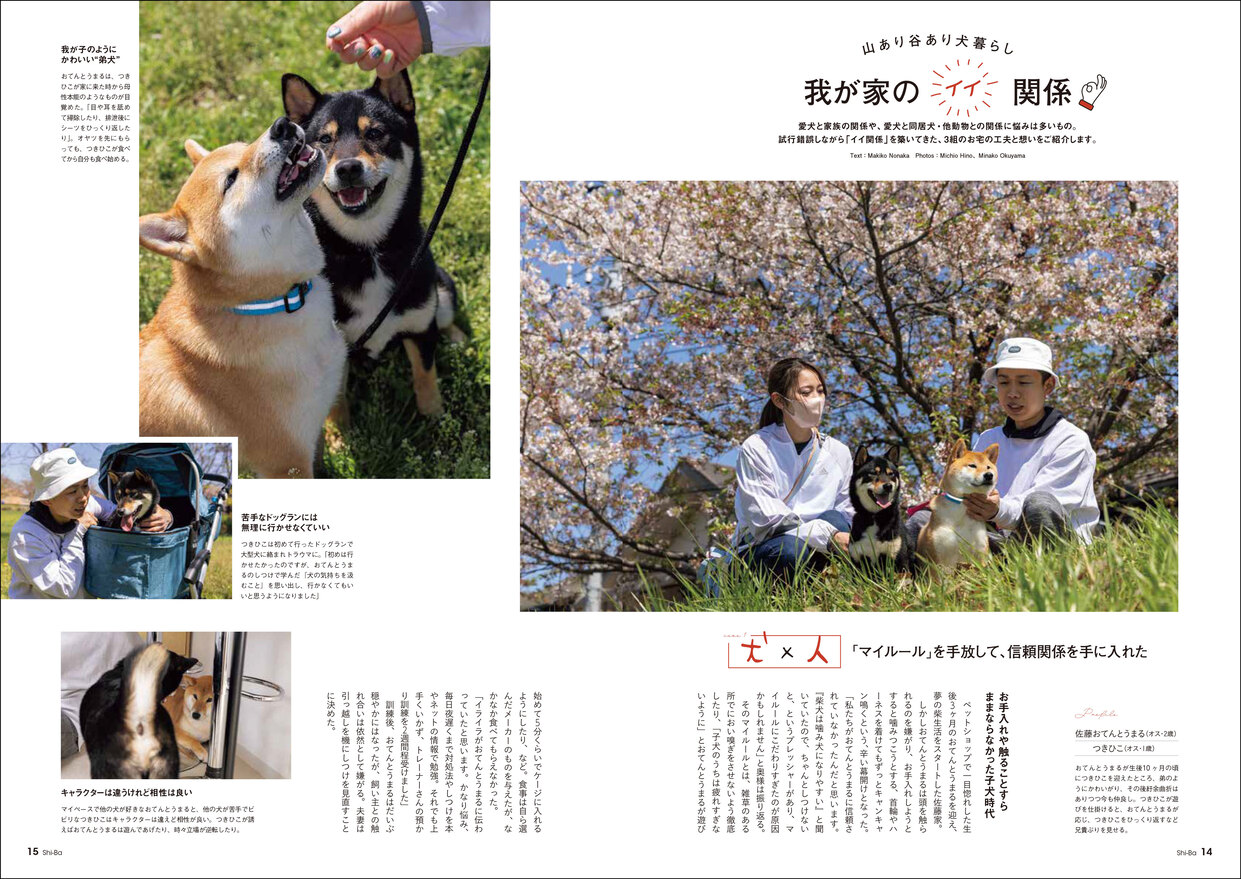 愛犬との関係見直しのメソッドを特集の画像