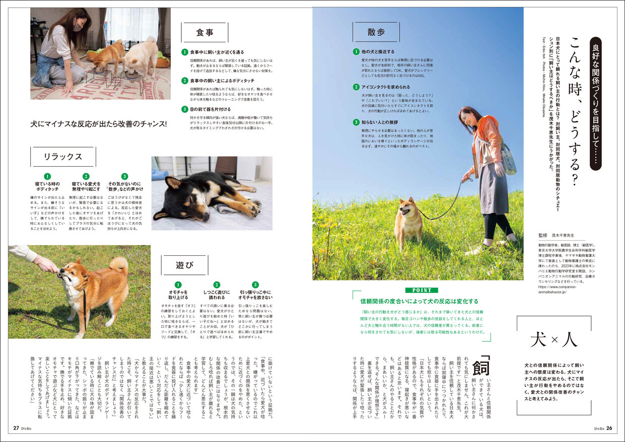 愛犬との関係見直しのメソッドを特集の画像