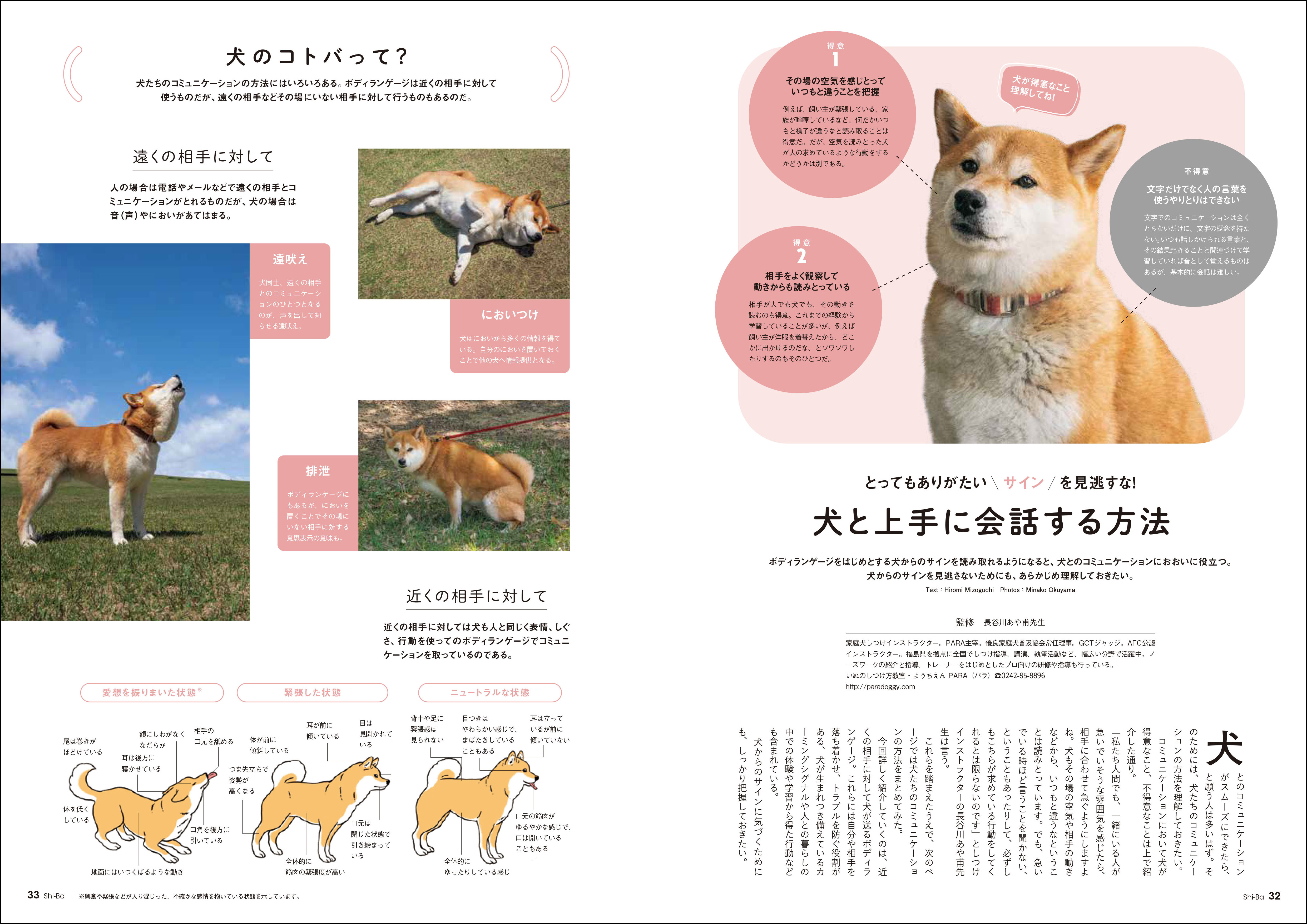 愛犬との関係見直しのメソッドを特集の画像