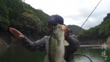 釣り系YouTuberが急上昇に登場　の画像