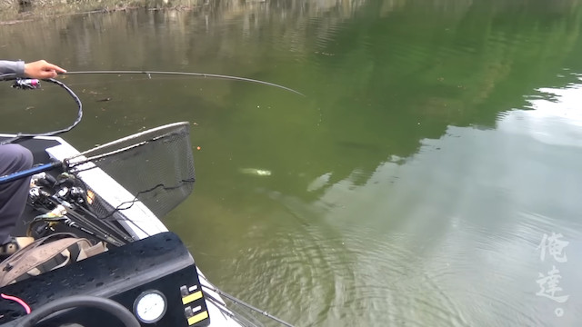 釣り系YouTuberが急上昇に登場　の画像