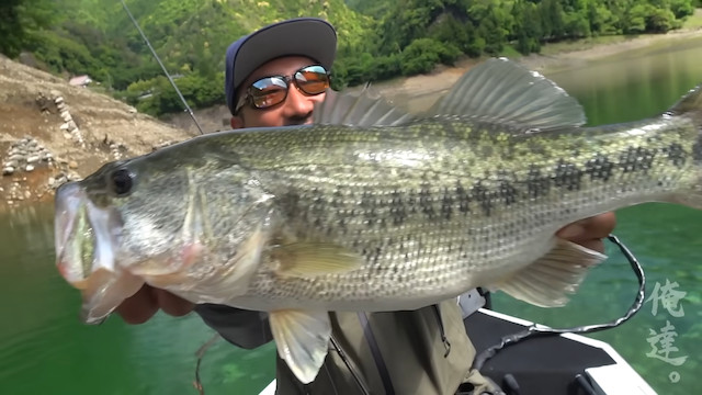 釣り系YouTuberが急上昇に登場　の画像