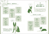 『ボストン・テリア版 家庭犬の医学』発売の画像