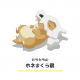 ポケモンたちの眠る姿