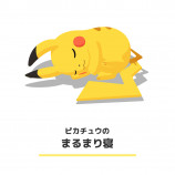 ポケモンたちの眠る姿