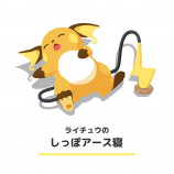 ポケモンたちの眠る姿