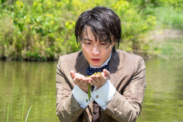 『らんまん』第83話、万太郎（神木隆之介）が池で不思議な水生植物を見つける