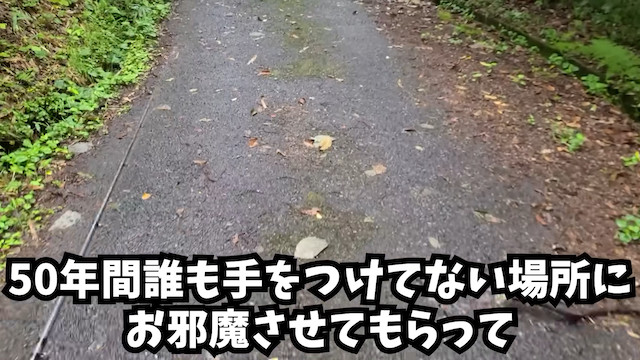 「50年間手つかずの人工池」の生態系に迫るの画像