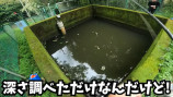 「50年間手つかずの人工池」の生態系に迫るの画像