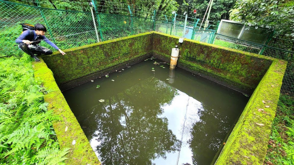 「50年間手つかずの人工池」の生態系に迫る