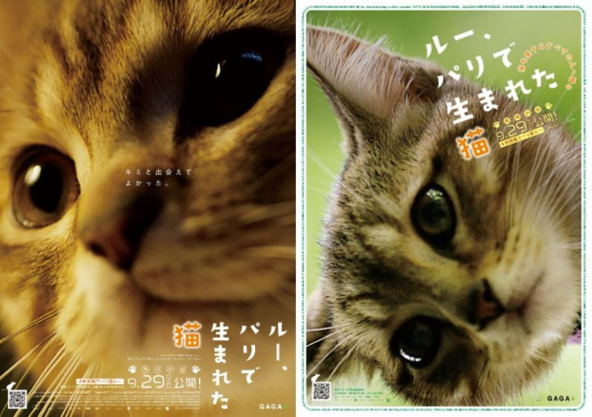 田中要次が語りを担当　『ルー、パリで生まれた猫』2種類の予告編＆“猫チラシ”公開