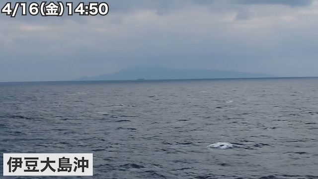 “膨大な情報量”を伝える旅系YouTuberの画像