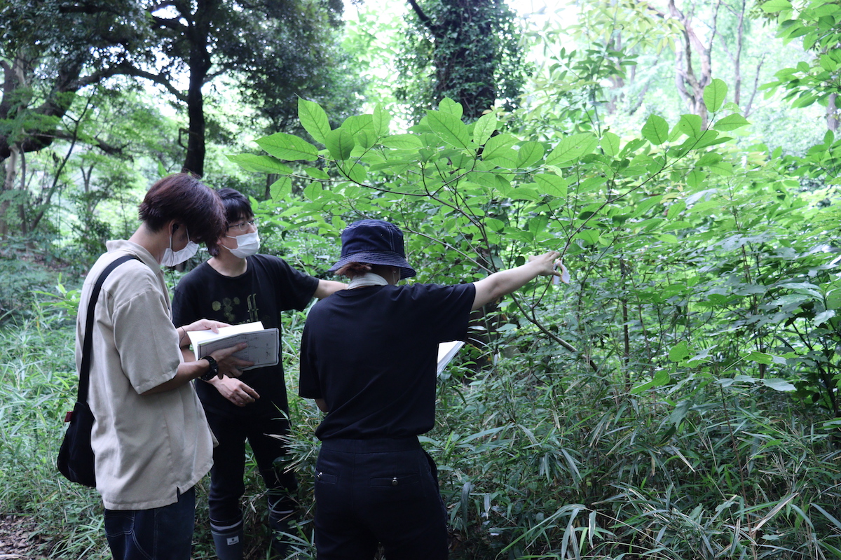 『らんまん』植物採集ロケに密着！の画像