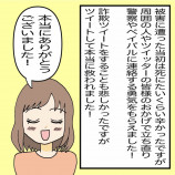 【漫画】SNS詐欺の手口とはの画像