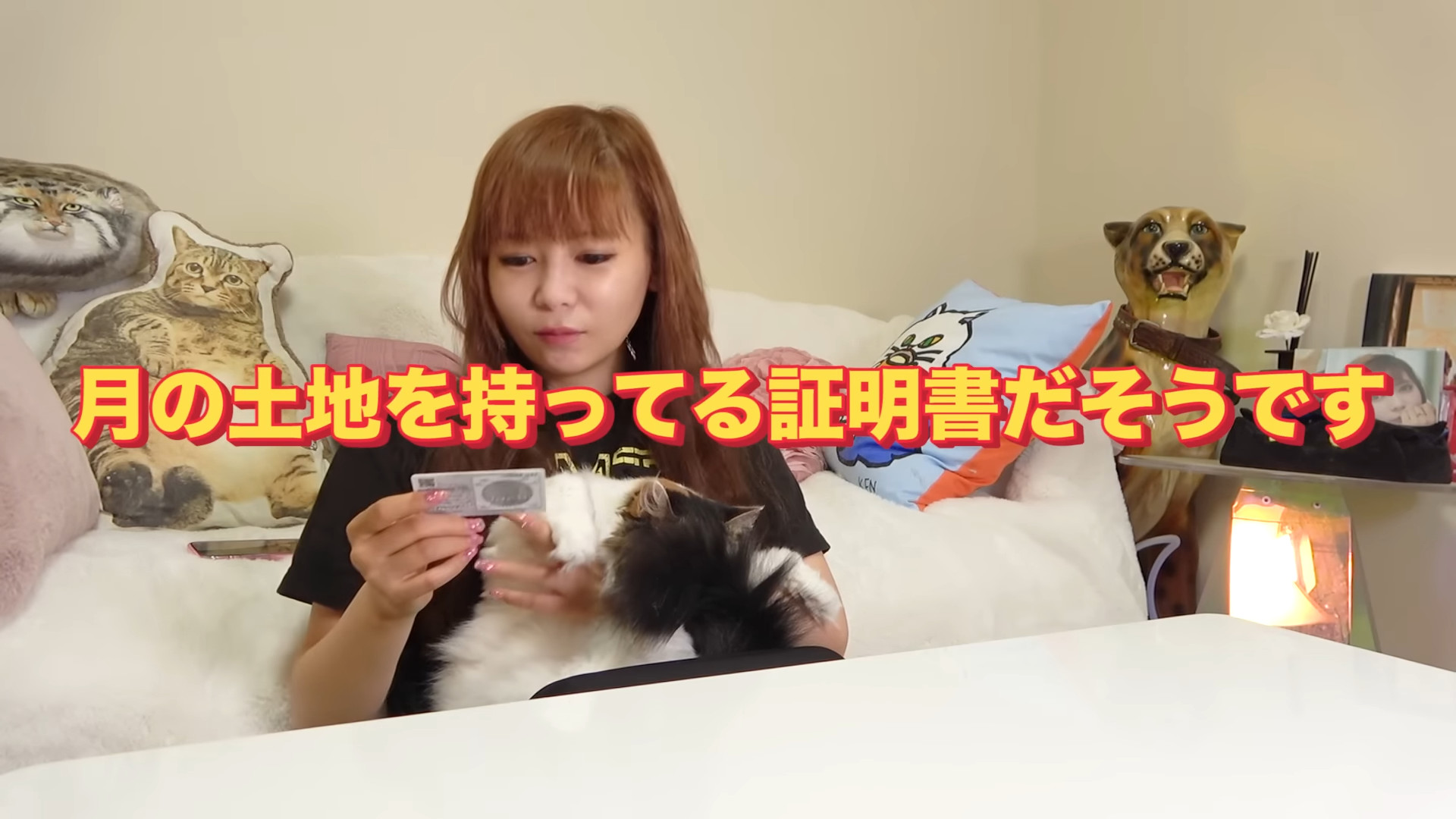中川翔子、月の土地を購入の画像