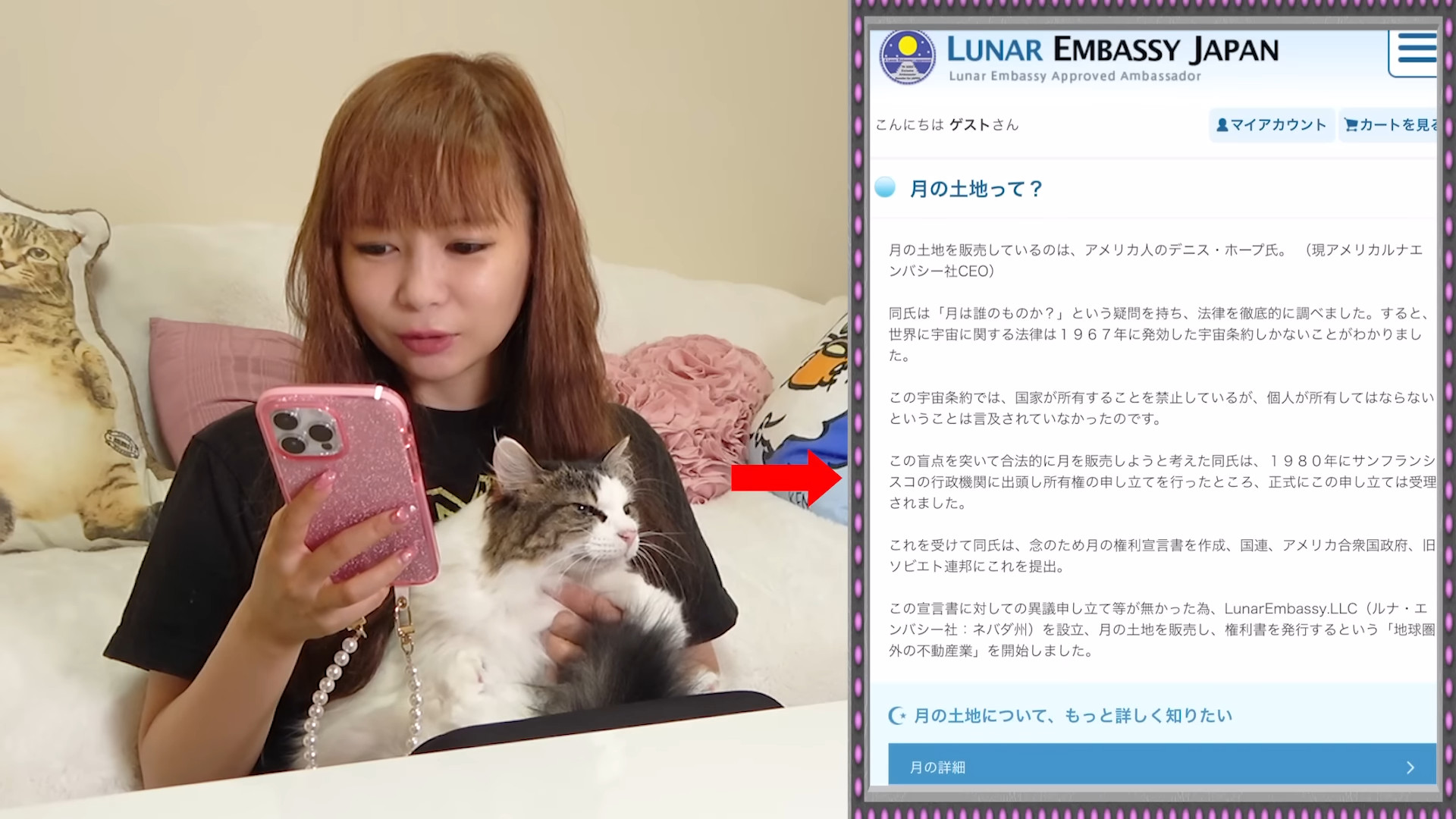 中川翔子、月の土地を購入の画像