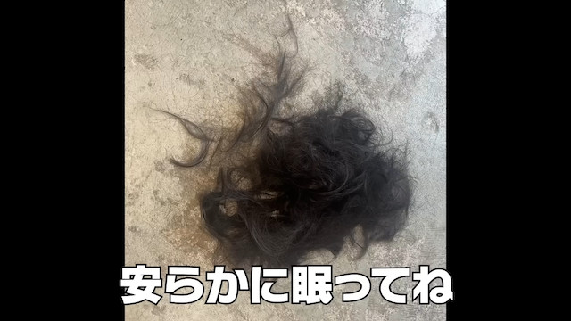 峯岸みなみ、“10年ぶりのショート”にイメチェンの画像