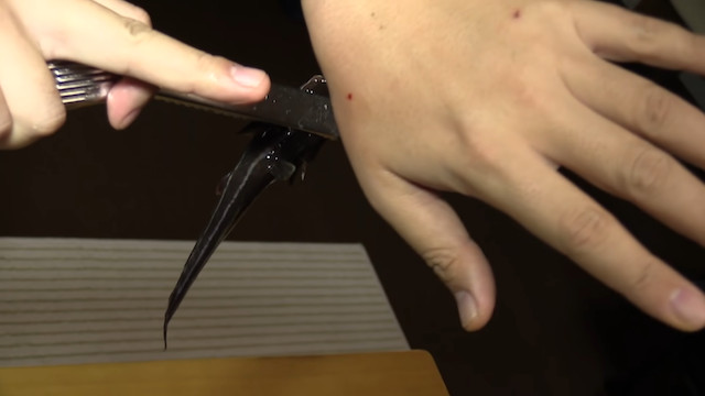 生物系YouTuber・平坂寛が話題にの画像