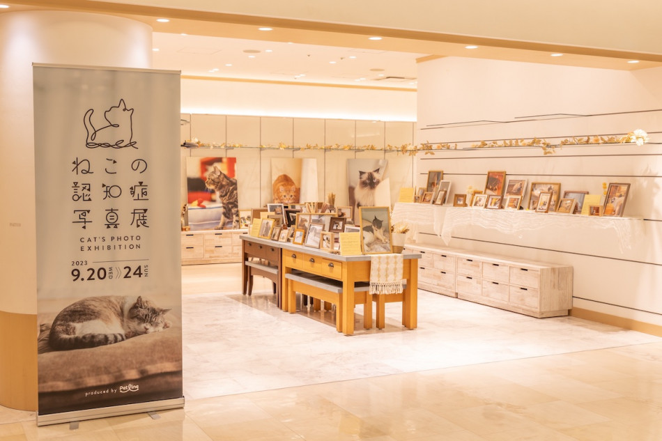 石原さくら氏の猫の認知症写真展