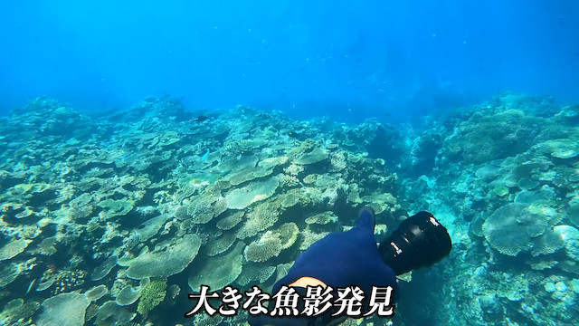 48時間秘境で生活する“沖縄ターザン”が人気急上昇の画像