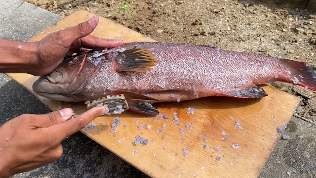 48時間秘境で生活する“沖縄ターザン”が人気急上昇の画像