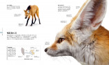 躍動感あふれるビジュアルの動物図鑑の画像