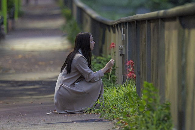 『単身花日』確実に花に心を奪われつつある舜の画像